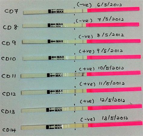 ovulation test strip progression